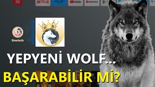 İLK KEZ SINETECH'TE... WOLF BAŞARILI OLABİLECEK Mİ?