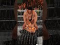 Andre The Giant Vs Rhea Ripley Part 6 WWE 2K24 Andrethegiant Rhearipley Wwe Wwe2k24 Shorts Andre The Giant Vs Rhea Ripley Part 6 WWE 2K24 Andrethegiant Rhearipley Wwe Wwe2k24 Shorts