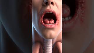 #anatomy #dothingsyoudontwanttodo bronchi