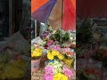 جاذبه ی بهشتی برای عاشقان طبیعت 