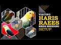 Visiting Haris Raees Birds Breeding Setup, Pale Fallow, Opaline Ringneck, Yellow Ringneck