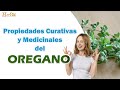 El Orégano y sus propiedades medicinales. que cura el oregano