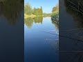 Ловим окуня и щуку. Лучший метод #fishing #рыбалка #ловля #щука