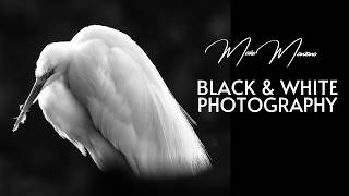 Black And White Photography Mario Manzano Featured Artist
