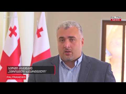 სერგი კაპანაძე - NDI-ს კვლევა პარტიული რეიტინგების კუთხით სრულ სურათს არ ასახავს