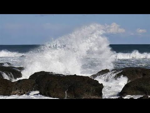 北海道ロックフィッシュ 小樽 南防波堤 釣果報告 10月13日 夜釣り