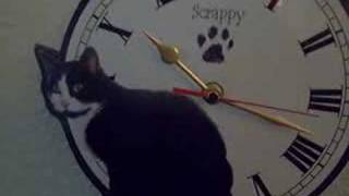 Cat clock