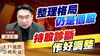 整理格局仍是個股持股診斷作好調整｜大戶羅盤籌碼動能 ｜謝宗霖
