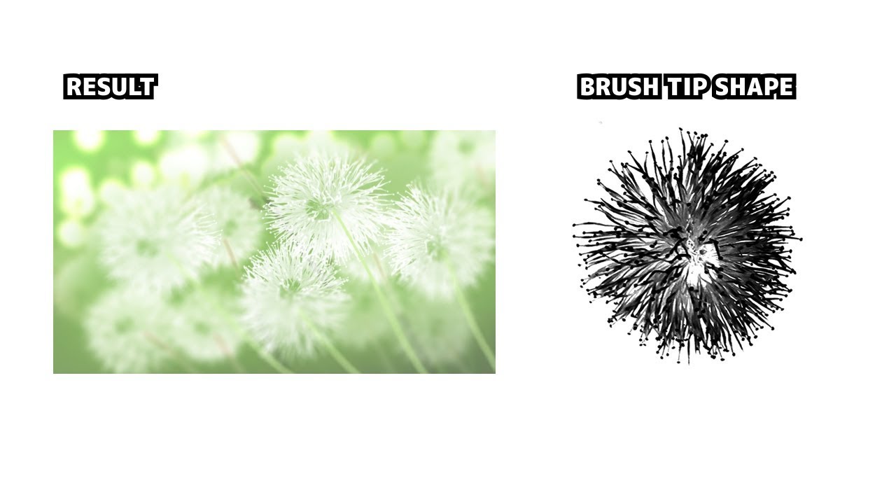 Creating Photoshop Dandelion Brush