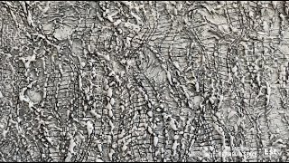 Tracy Penn - STUDIO VISIT - with a demo in encaustic wax painting