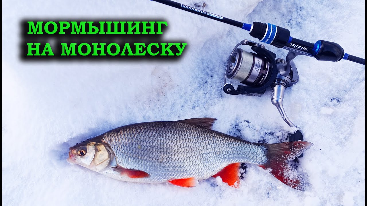 Мормышинг на оке Мормышинг на оке