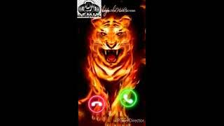 #uzbektigers #boks #uzdjremix Uzbek Tigers |узбек тигер(DJ REMIX)