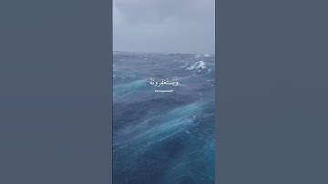 أفلا يتوبون إلى الله ويستغفرونه | القارئ عبد الرحمن مسعد 🤍🎧