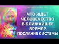 ЧТО ЖДЕТ ЧЕЛОВЕЧЕСТВО? ПОСЛАНИЕ СИСТЕМЫ //ТАРО ОНЛАЙН//