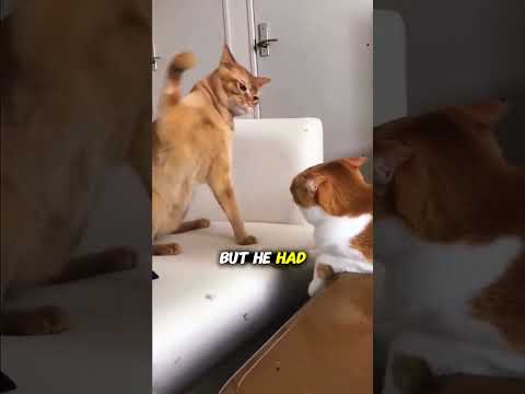 لا تنقر على الصوت 