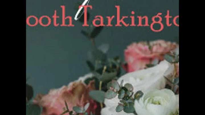 The Beautiful Lady by Booth TARKINGTON read by Rit...