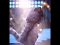محدش سامعني ليه