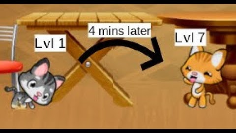 I attempted another Meow Playground speedrun!