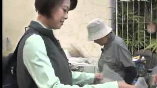 20120504《草根菩提》319出去走走--蔗般甘甜