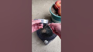 Dụng cụ kẹp mồi GIUN ĐẤT câu cá rô, chép, diếc siêu tốc, chắc chắn #1🎣 #fishing #shorts