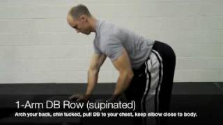 1-Arm Dumbbell Row (supinated) - YouTube