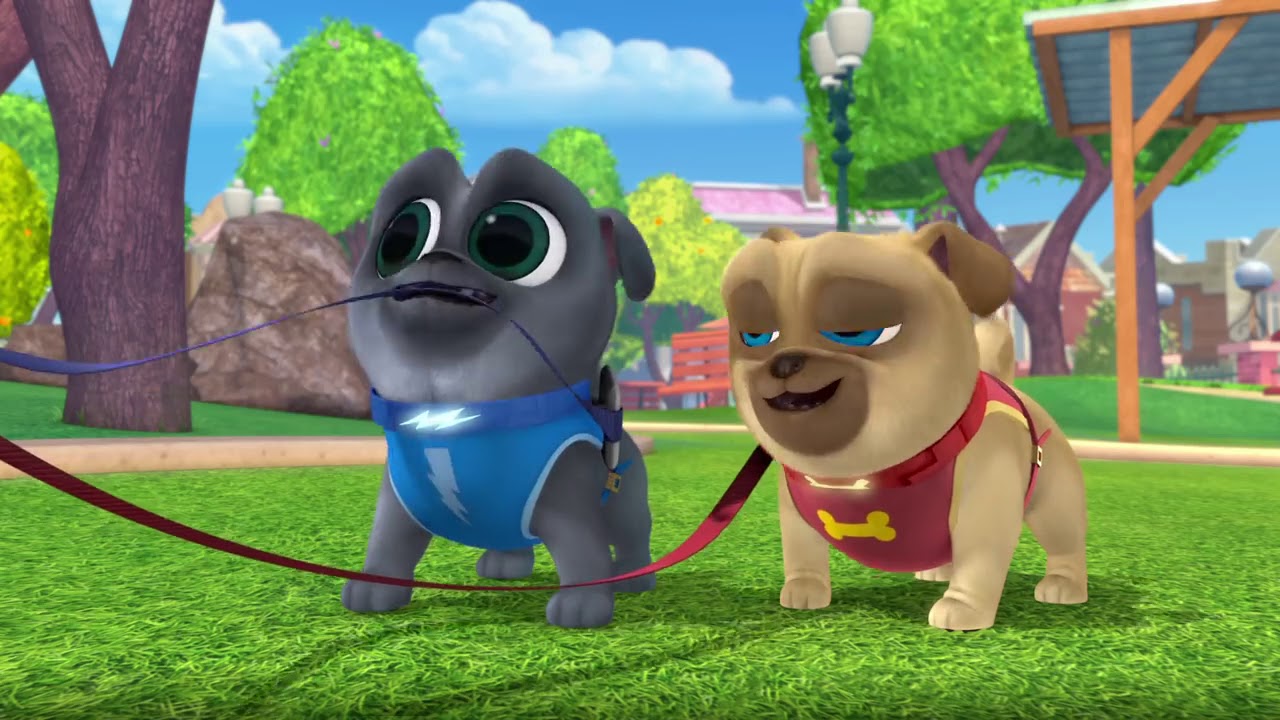 Walking the Bob ¦ Music Video ¦ Puppy Dog Pals ¦ Disney Junior YouTube
