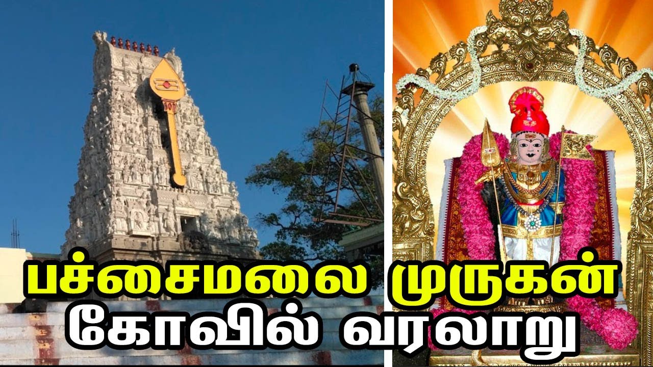 பச்சைமலை முருகன் கோவில் வரலாறு | Pachaimalai Murugan Temple History & Travel Guide -Gopichetipalayam