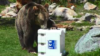 Υψηλής Ποιότητας Φορητά Ψυγεία