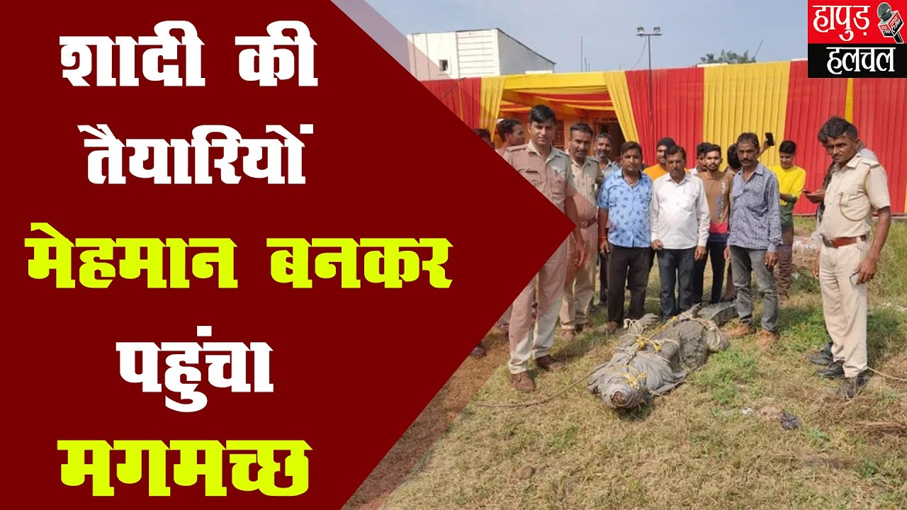 शादी की तैयारियां मेहमान बनकर पहुंचा मगमच्छ || Viral Video || Hapur Hulchul ||