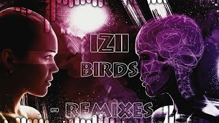 IZII - Birds feat. The Powder Room (WRECKVGE Remix)