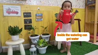 Watering Plant - Montessori Practice By Dhena