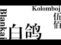 【Esperanto】blankaj kolomboj 白鸽（cover：伍佰）