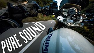 Full Send through the Forest | Triumph Street Triple 675 POV | LeoVince GP 3-2