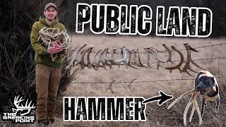 GIANT PUBLIC LAND ANTLER! | SHED SEASON