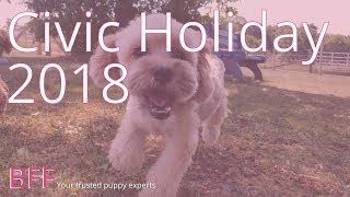 Celebrity Civic Holiday 2018 Profile