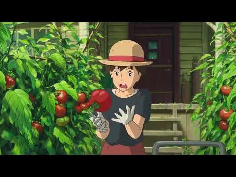 Itsumo Nando Demo Flute With Some Movie Clips From Studio Ghibli