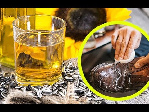 Подсолнечное масло для ухода за обувью, и еще 6 способов использовать его вне кухни