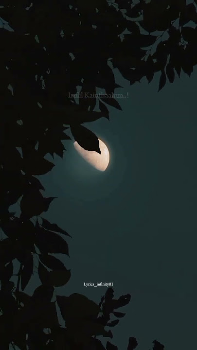 Pournami Nilave En Oli Neeyadi 🌝❤️ (Req ✅) #lyrics_whatsapp_status #nesamaguren song #love