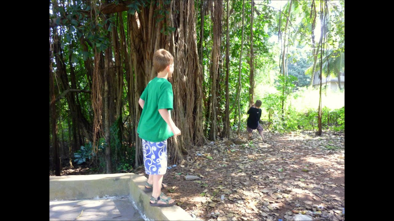 Mike and Julie covers: Amazing Grace, Wagon Wheel, All My Tears