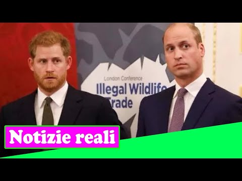 Video: William Era îngrijorat De Harry