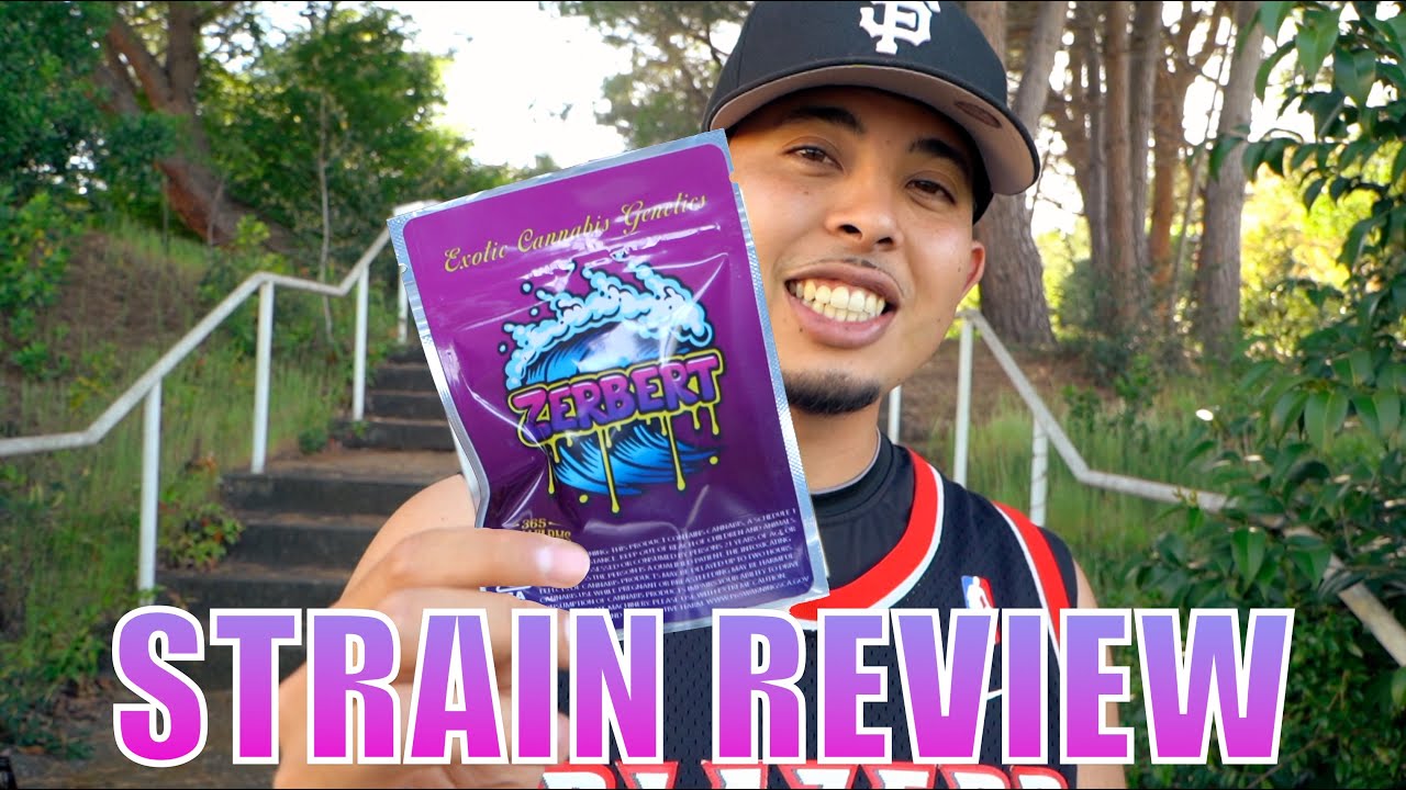 EXOTIC STRAIN REVIEW ZERBERT