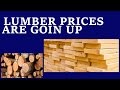 LUMBER PRICES ARE GOING UP IN USA BY POSSIBLY 20% LUMBER PRICES ARE GOING UP IN USA BY POSSIBLY 20%