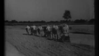 SOIL OF INDIA, Documentary: On improvement of farming methods in India. Dr. Samuel Higginbottom ...