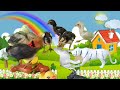 Bermain dengan ayam warna warni ayam rainbow ayam lucu bebek lucu