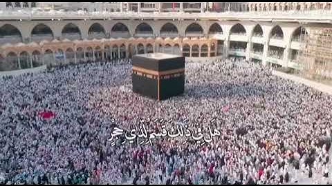 الشيخ نعمة الحسان - سورة الفجر - من الآية 1 إلى الآية 5  #الحج