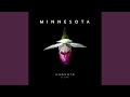 Minnesota mp3
