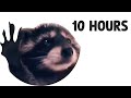Dancing raccoon pedro pedro pedro 10 hours