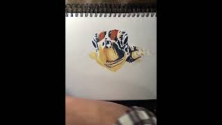 Sea Turtle in Oil Pastels 🐢 | Ocean Wildlife Time Lapse #shorts #asmr #animals