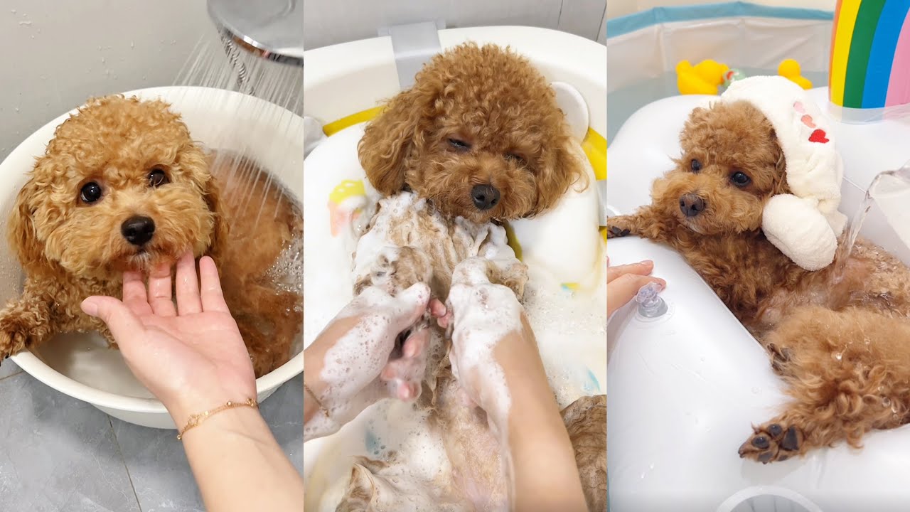 10-минутная ASMR-ванна: идеальное расслабление в феврале 🧼🛀