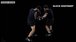 Trịnh Sư Phụ Dạy Kỹ Thuật Boxing - Block & Counter Bodyshot Cự Ly Gần